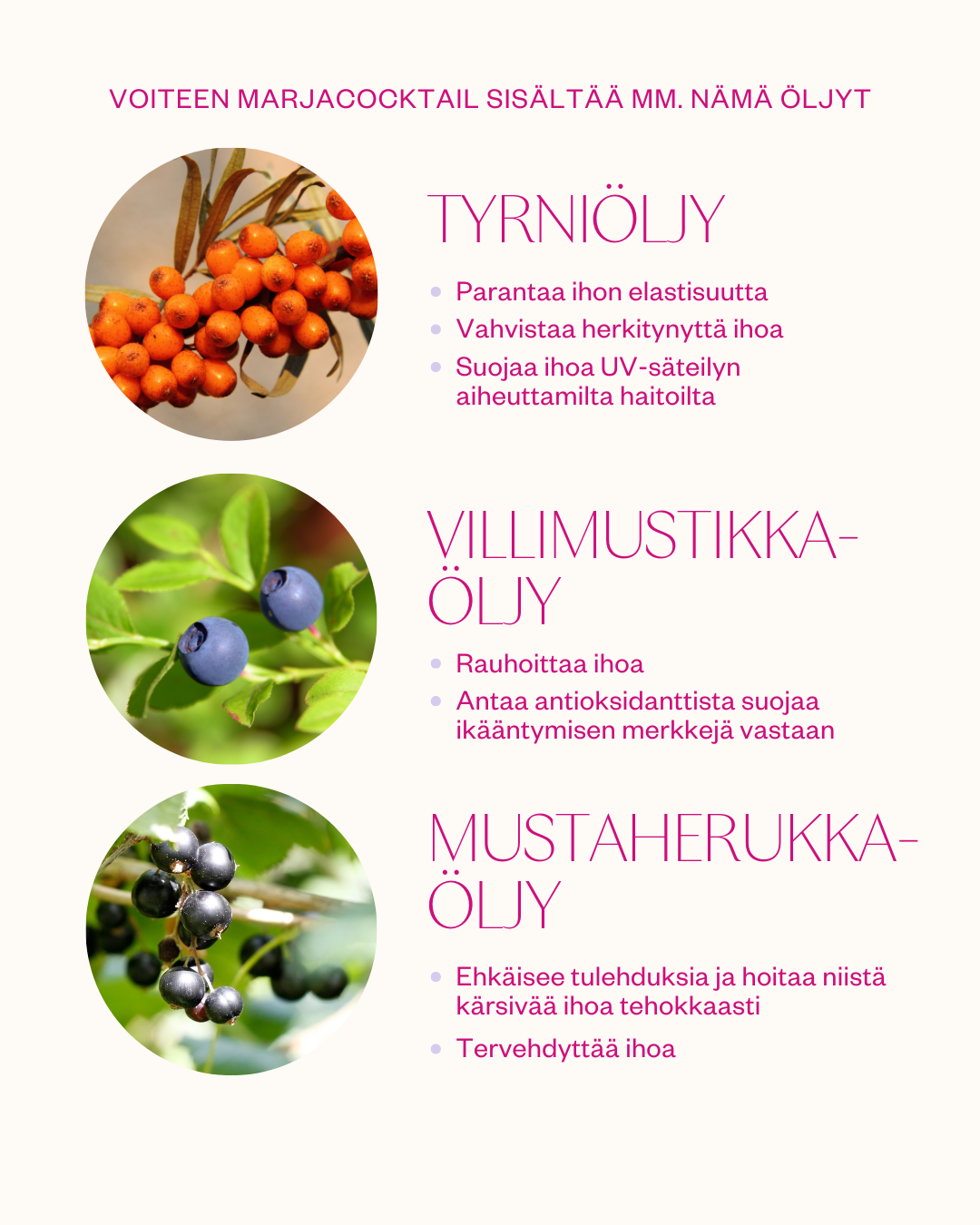 Arctic Beauty Cream kasvovoide kuivalle iholle