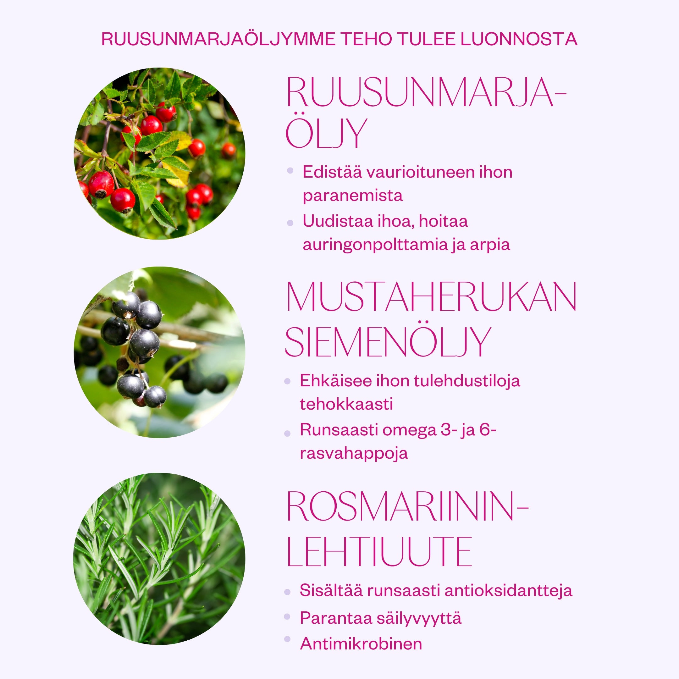 Rosehip Oil ruusunmarjaöljy herkälle ja haasteelliselle iholle