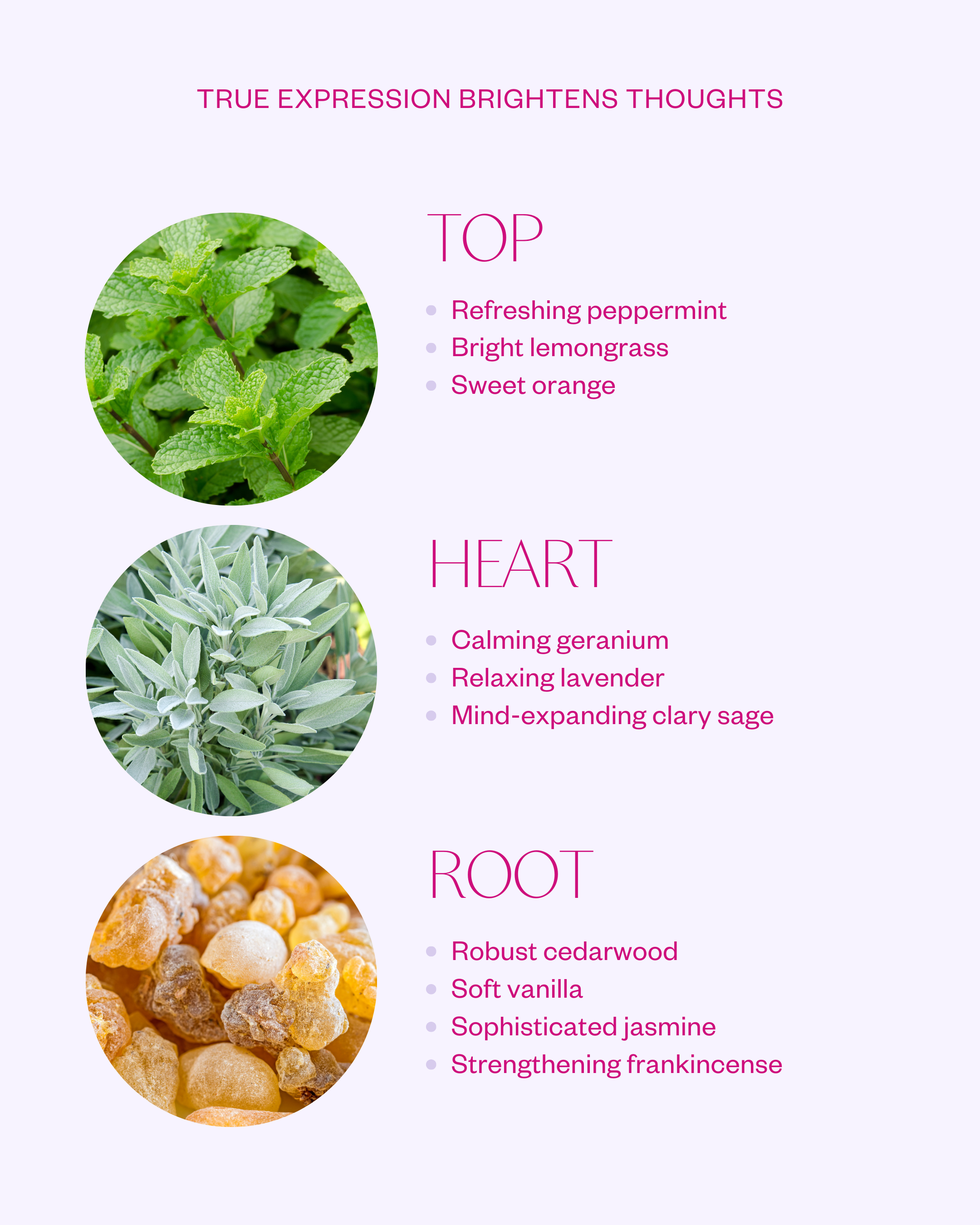 Natrural True Expression Perfume Oil