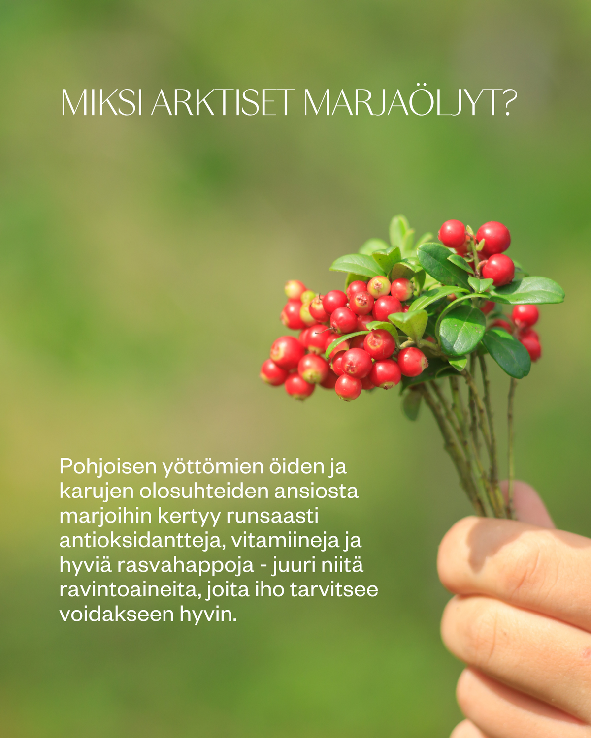 Arctic Beauty Oil kasvoöljy kuivalle ja ikääntyvälle iholle