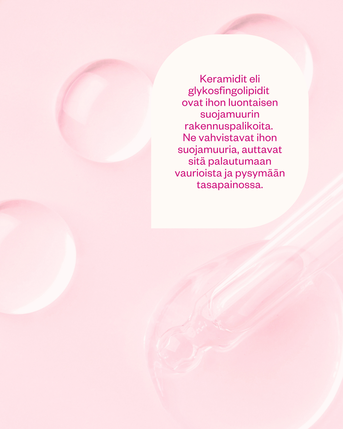 Ceramides & Probiotics Cream - korjaava herkän ihon kasvovoide (hajusteeton)