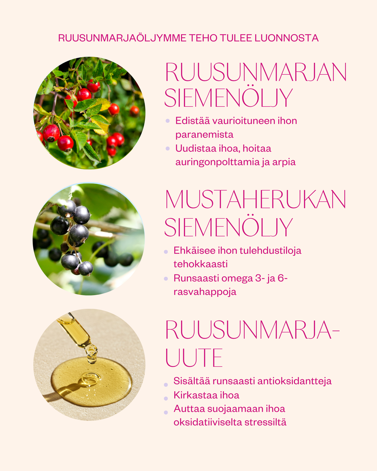 Rosehip Intensive Treatment Oil hoitoöljy herkälle ja haasteelliselle iholle