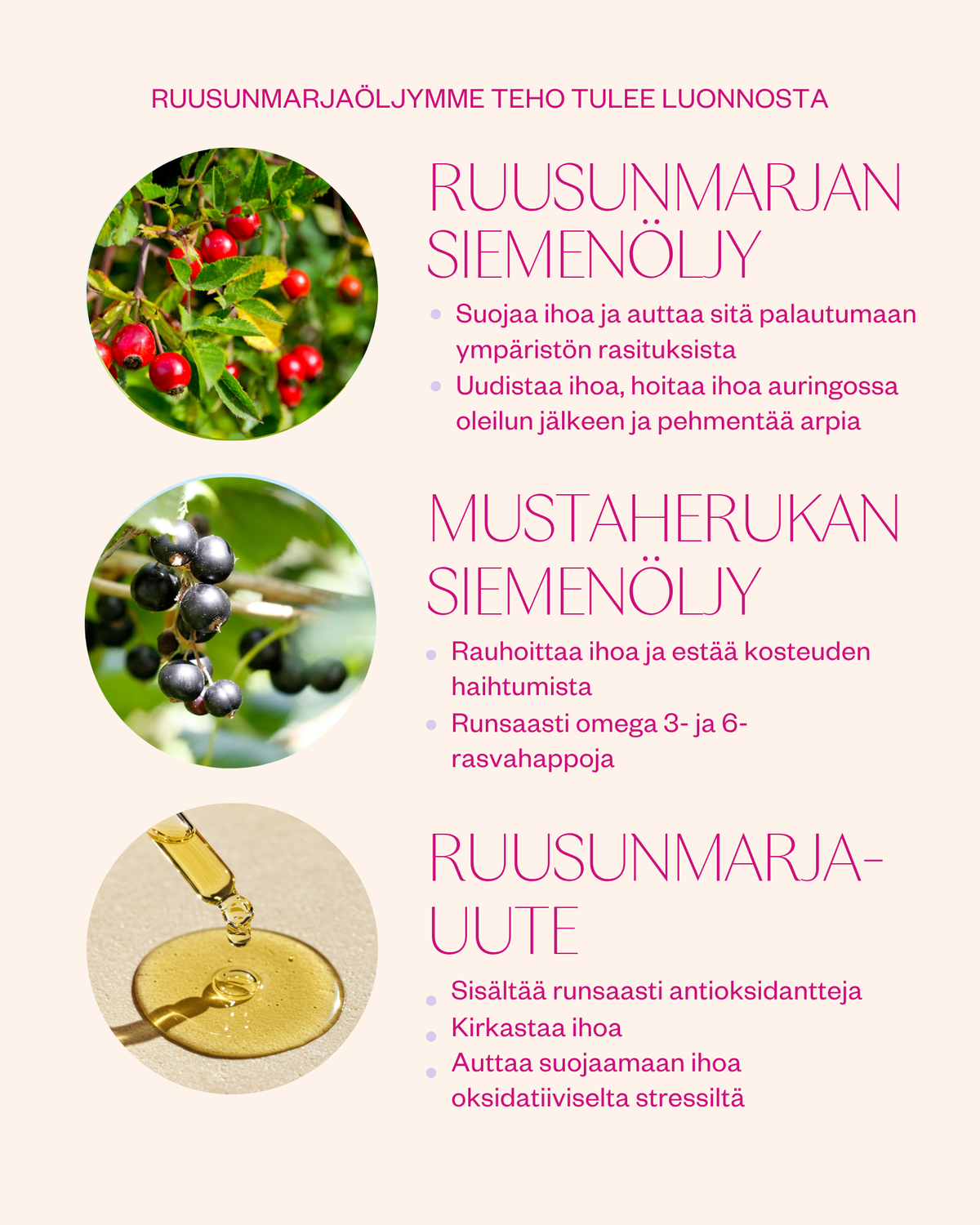 Rosehip Intensive Treatment Oil hoitoöljy herkälle ja haasteelliselle iholle