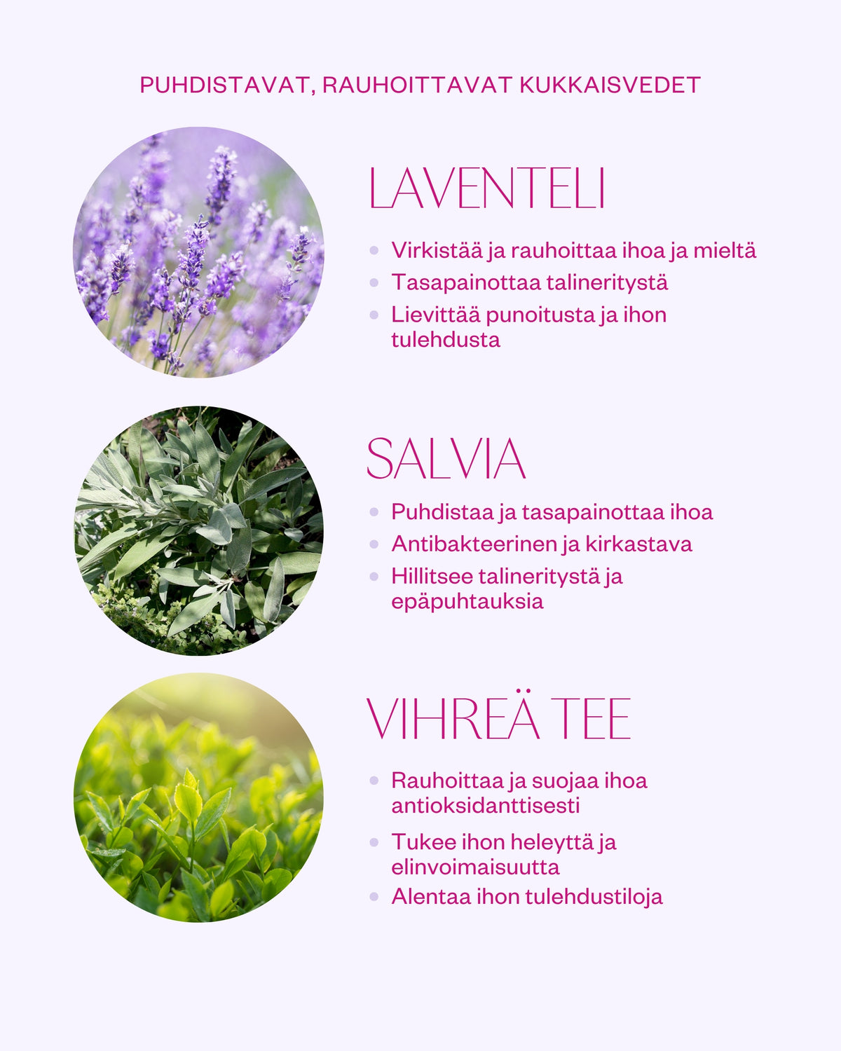 Sage & Lavender Facial Mist - kasvovesi sekaihon haasteisiin