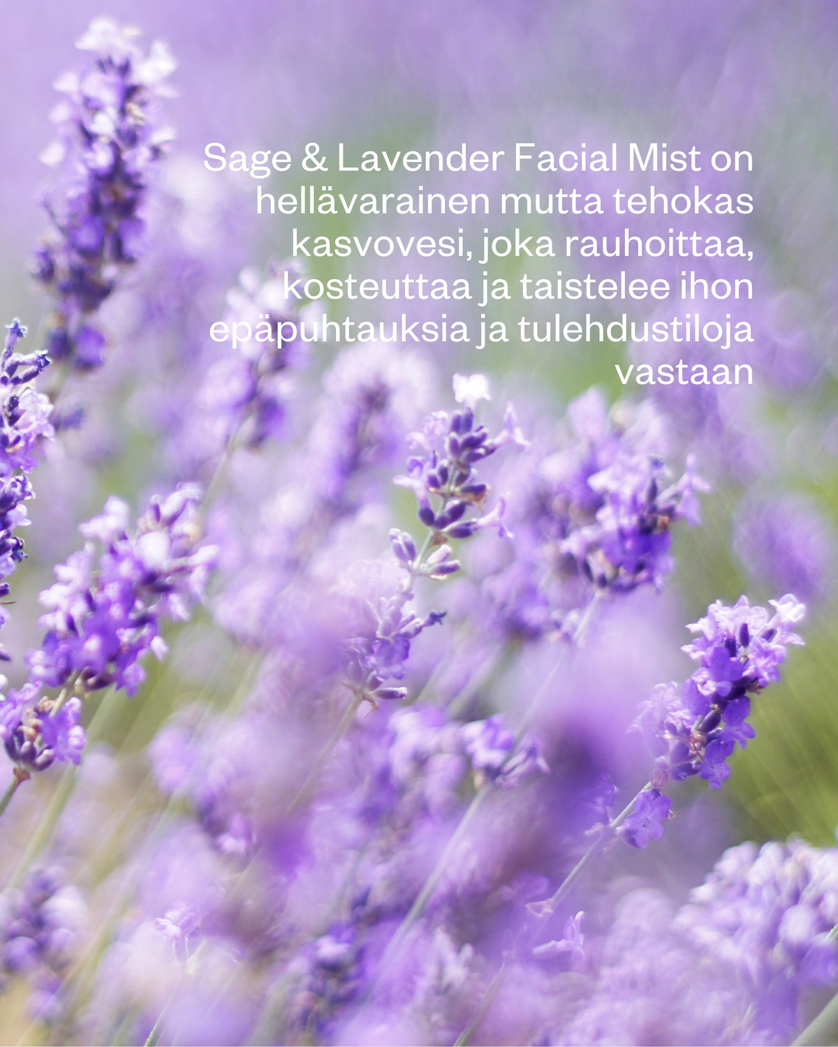Sage & Lavender Facial Mist - kasvovesi sekaihon haasteisiin