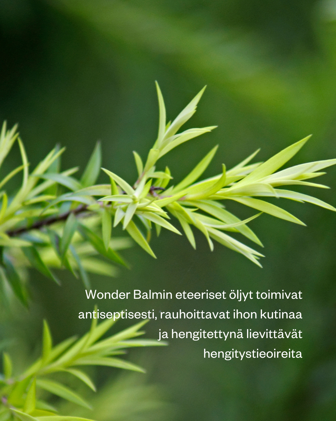 Wonder Balm -hoitosalva on suunnitteltu lievittämään monenlaisia vaivoja, kuten yskää ja tukkoista oloa, itikanpistojen kutinaa sekä huuliherpeksen aiheuttamaa tykyttävää tunnetta. Kokeile myös kipeille lihaksille.